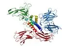 Cyrus - Novel IL-2 Autoimmunity Technology