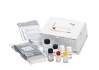 Infectious Diseases ELISA Kit