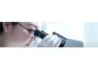 Tafasitamab - Model MOR208 - Humanized FC-Modified CD19 Targeting Immunotherapy