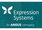 Expression - Mammalian Cells