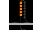Model L1CAM - Cell Surface Protein