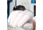 InnoSer - Sanitation and Cryopreservation Services