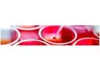 Accelerated Biosciences - Stem Cells