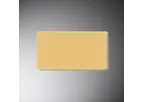 Frontier - Model FB3001 - New Transdermal Patch for Musculoskeletal Pain