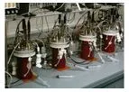 Integrated Strain & Process Development Services