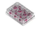 PhysioMimix - Model MPS 12 - In vitro Non-Alcoholic Steatohepatitis (NASH) Services
