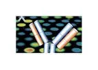 Proteome Array Screening Services