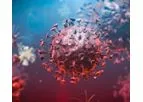 Research and Diagnostic Reagents