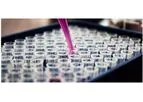 T-cell Proliferation & Cytokine Analysis