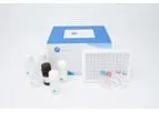 Fine Test - Model AQ-U3128 - COVID-19 Spike Protein (RBD) Accquant Elisa Kit