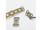Cervical Plate