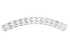 Tsunamed - Model MAGMA - Rapamycin-Eluting Coronary Stent System
