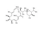 Santa Cruz Biotechnology, Inc. - Bafilomycin A1