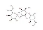 Santa Cruz Biotechnology, Inc. - Hygromycin B solution