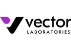 Vector ImmPRESS - Polymer Reagents for IHC