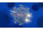 Antibodies for Immune Cell Therapy