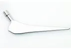 Endoprosthetics
