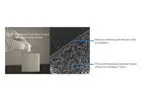 Model Nevelia - Dermal Regeneration Template