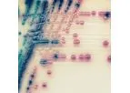 CHROMagar - Model C3GR - Cephalosporin-Resistant Enterobacteria