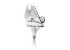 Groupe Lepine - Model KNEO™ TKP - Posterior Stabilized Fixed Bearing Knee