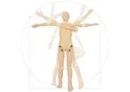 Kyoto Kagaku - Model 41945-000 - X-Ray Training Phantom PBU-POSE