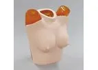 Kyoto Kagaku - Model 41337-090 - Breast plate for Chest Phantom N-1 LUNGMAN