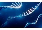 Codex - Model HiCap - RNA Polymerase