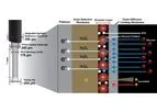 Glucose Biosensor