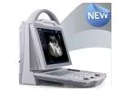 Diagnovision - Model KX-5600 Vet - Ultrasound Machine Vet