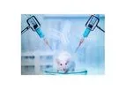 Antibody Production Services