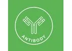 Antibody Platform