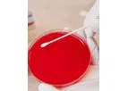 Microbiology Service