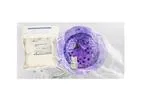 Natural Killer (NK) Cell Media, Instruments, and Reagents for Cell Therapy