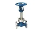 TianJin - Cryogenic Gate Valve