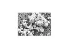 Specialty Minerals - Model ViCALity Series - USP/ FCC Precipitated Calcium Carbonates