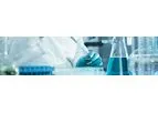 R&D Center Services