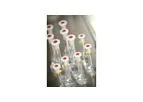 Pharmaceutical Testing