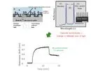 Label-Free Optical GMR Technology for Molecular Interaction Analysis