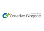 Microbialtec - Bioinformatics Analysis