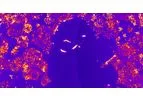 Joanneum Research - Scratch Assays for Cell Migration Analysis