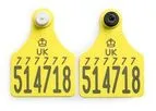 Senior Ultra - Model TST - Primary and Senior Ultra Secondary Tissue Sampling Tags