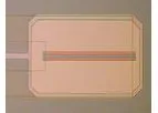 Sentron - Model ISFET - Medical pH Sensors