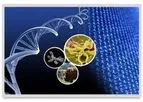 ArrayGen - Gene Expression Arrays