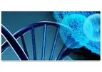 Gene Expression Services