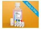 Lonza - Model EGM-2 - Endothelial Cell Growth Medium-2 BulletKit