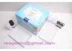 Canine Distemper Virus Antigen rapid test