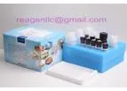 REAGEN - Model RND99032 - Avermectin/Ivermectin ELISA Kit