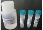 Human Chorionic Gonadotropin (HCG)