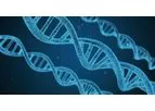 Analytik Jena - Web Seminar: A Role for Biofoundries in Rapid Development and Validation of Automated SARS-CoV-2 Clinical Diagnostics
