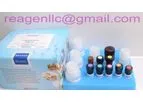 REAGEN - Model  RNF91002 - Fructose/Glucose Assay Kit